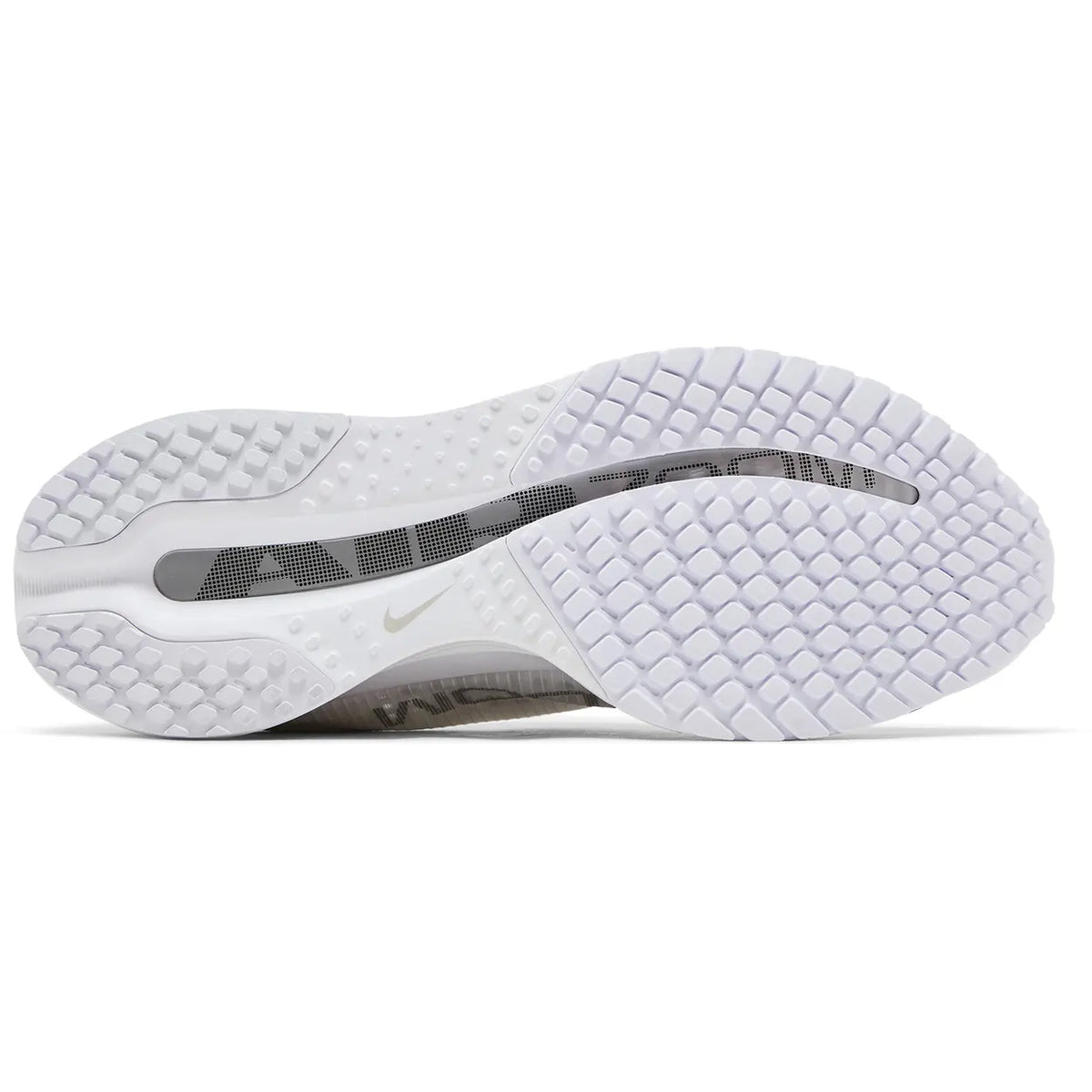 Nike Air Zoom Pegasus Premium White Metallic Silver (W)